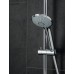 Душевая лейка GROHE Euphoria 110 Massage 27239000