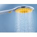 Душевая лейка GROHE Rainshower Icon 150 27446000