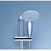 Душевая лейка GROHE Tempesta 100 28261002