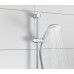 Душевая лейка GROHE Tempesta 100 28421002